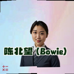 陈北望 (Bowie)