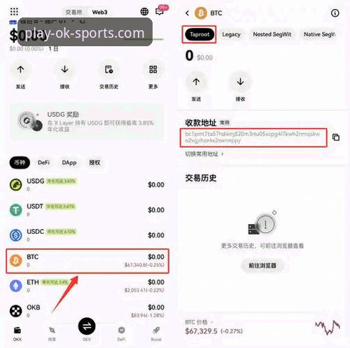 OK体育投注推荐全面操作教程：从网页版体验到手机版下载的完整指南